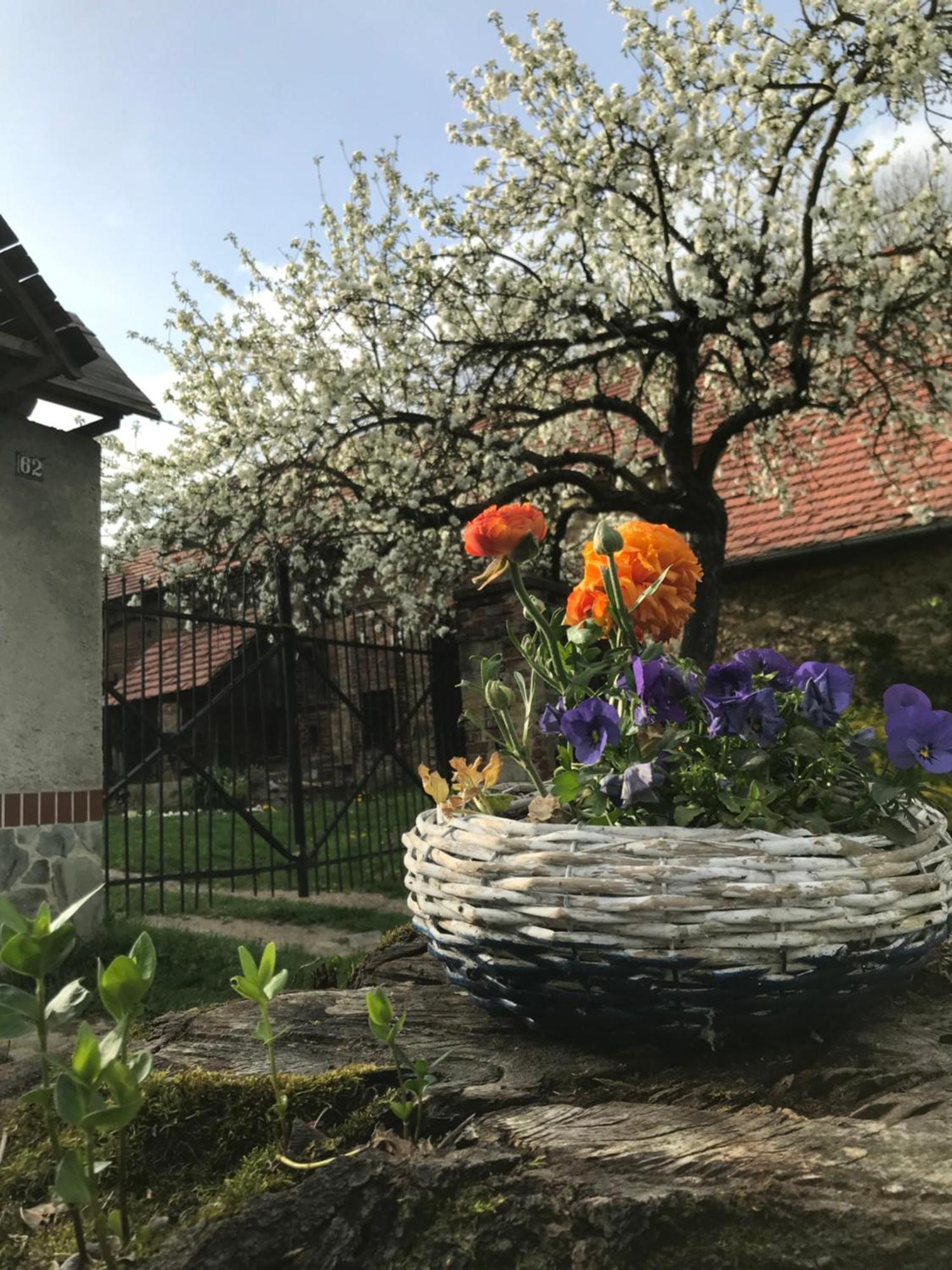 Dom Piwowara Hotel Leśna Kültér fotó